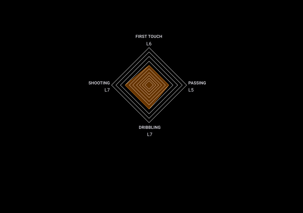The Technical Execution Spiderweb chart
